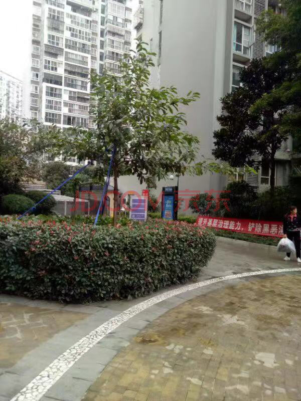 金牛五块石