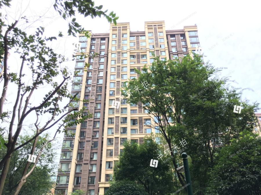 金牛国宾板块